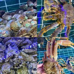 必点·海鲜酒店(灯塔店) User Photo