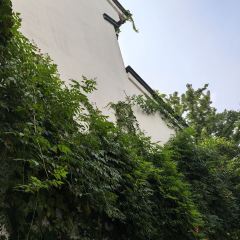 YIYUAN RESTAURANT User Photo