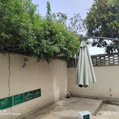 洛阳凤翔温泉酒店·丰泽园 User Photo