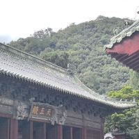評論圖片 4