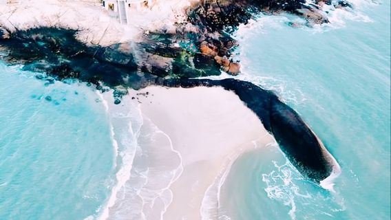 nan yu shuang mian hai