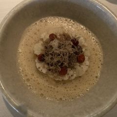 Vollmers張用戶圖片