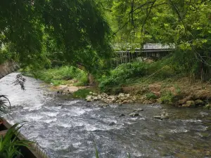 水乡竹园农家乐