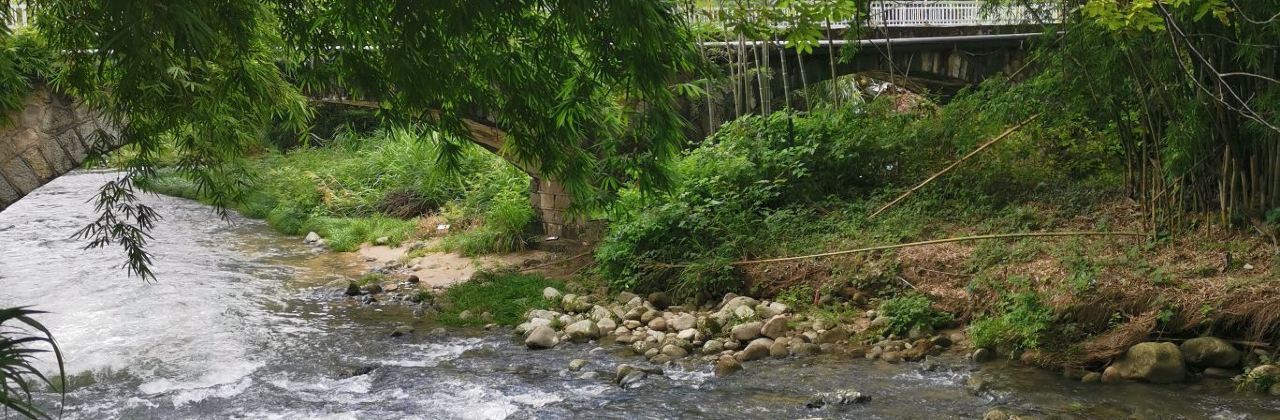 水乡竹园农家乐