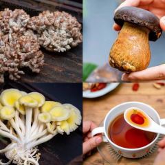 蘑菇盛宴 여행 사진
