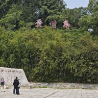 評論圖片 3