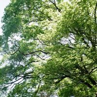 評論圖片 3