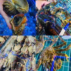 必点·海鲜酒店(灯塔店) User Photo