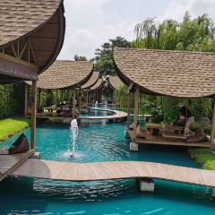 Bubble in the Forest Cafe張用戶圖片