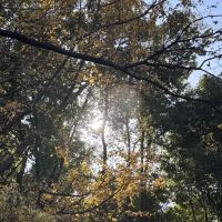 評論圖片 3