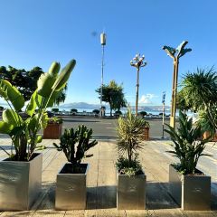 泰莱金·冬阴功手抓饭·傣泰融合·泰国罗氏虾餐厅(滨海大道店) User Photo