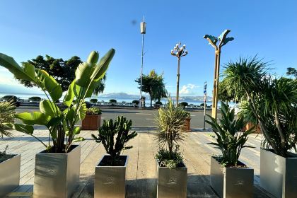 泰莱金·冬阴功手抓饭·傣泰融合·泰国罗氏虾餐厅(滨海大道店)