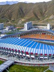 Тибетский Спортивный Зал