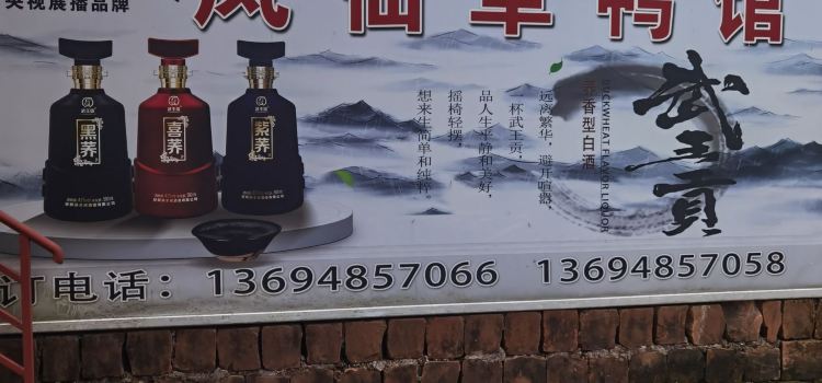 凤仙草鸭馆
