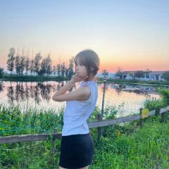 都乐稻田 User Photo