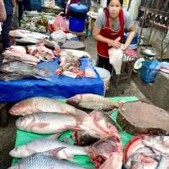 Luang Prabang morning market User Photo