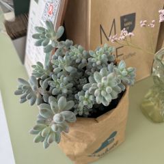 木也咖啡(塞罕坝店) User Photo