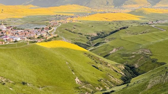 luo ri na ze guang ying lan sheng guan jing dian