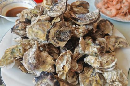 金红太阳饺子城(胜利街店)