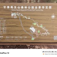 評論圖片 2