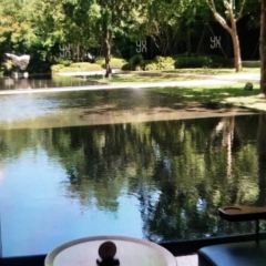 Cang QiaoMian Jie User Photo