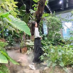 Mango tree芒果樹泰式餐廳（龍湖時代天街店）張用戶圖片