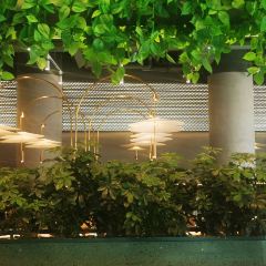 Shake Shack(前滩太古里店) User Photo