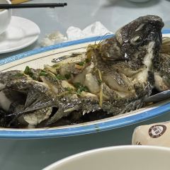 老味饭店 User Photo