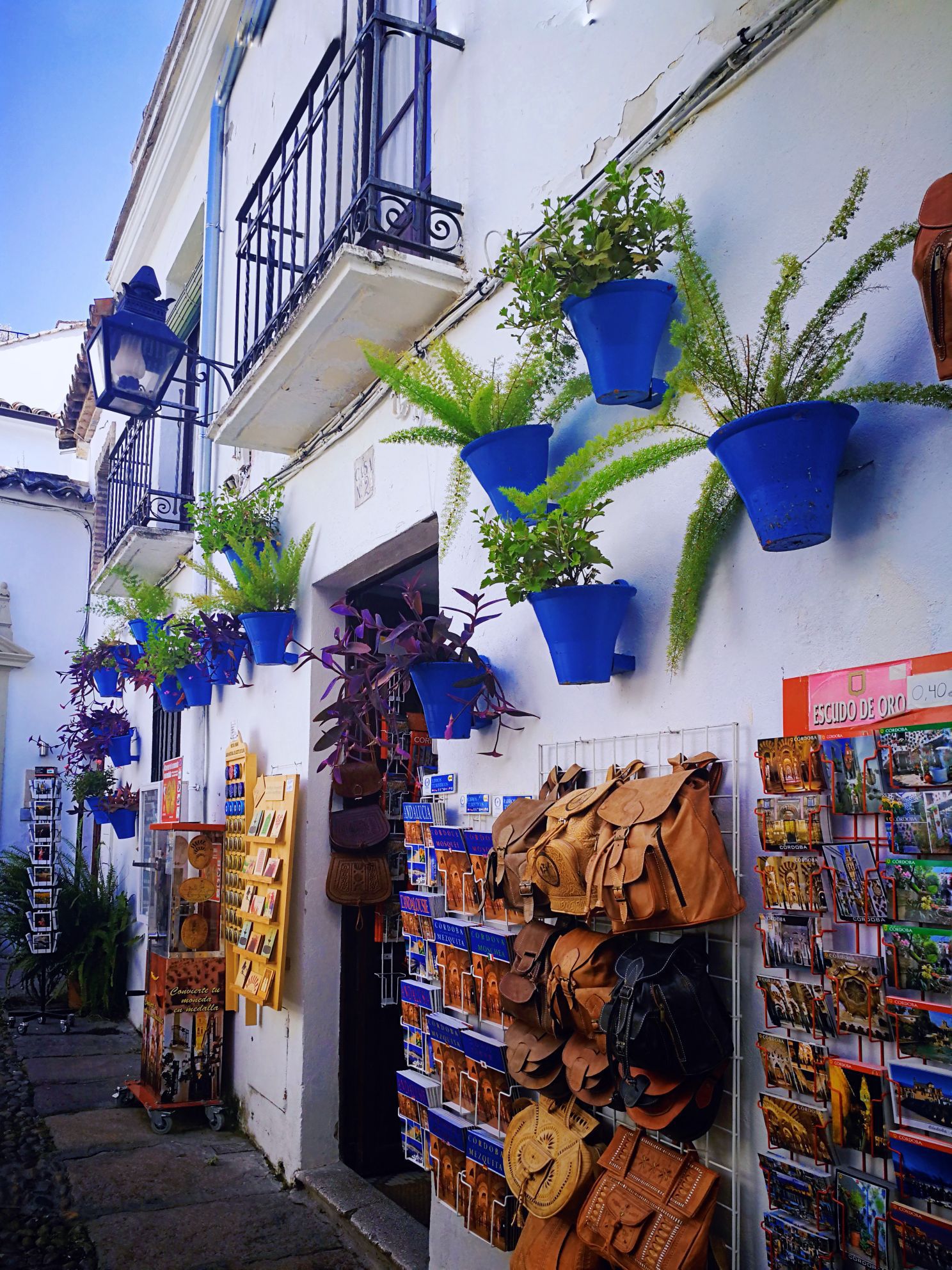 Calleja de las Flores attraction reviews - Calleja de las Flores tickets - Calleja de las Flores discounts - Calleja de las Flores transportation, address, opening hours - attractions, hotels, and food Calleja de las Flores attraction reviews - Calleja de las Flores tickets - Calleja de las Flores discounts - Calleja de las Flores transportation, address, opening hours - attractions, hotels, and food