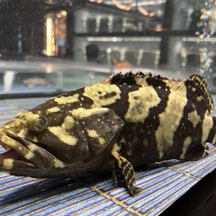 悅上悅·台州海鮮·精品粵菜張用戶圖片