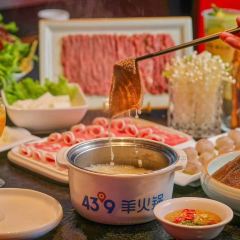 蒙都43°9羊火鍋(橋北店)張用戶圖片