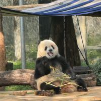 評論圖片 4