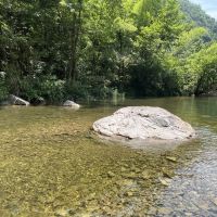 評論圖片 4