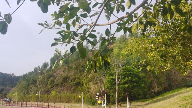 fang cheng gang shi yuan bo yuan he chi yuan