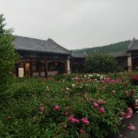 評論圖片 3