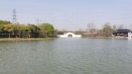 康橋生態園沔青綠地面積非常大，改造后更漂亮了，公園不要門票，