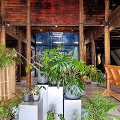 一尺花园(广富林店) User Photo