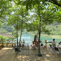 塘三菜·纯野露营咖 User Photo