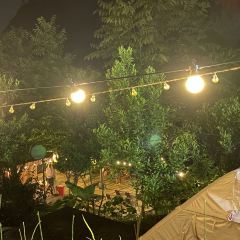 塘三菜·纯野露营咖 User Photo