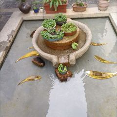 鵬城飯館張用戶圖片