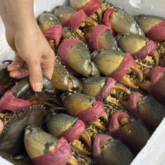 Under Bridge Spicy Crab 여행 사진