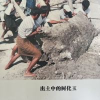 評論圖片 1