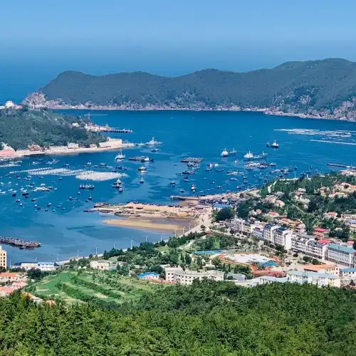 海洋島