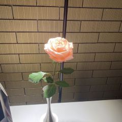 Aurora Restaurant User Photo