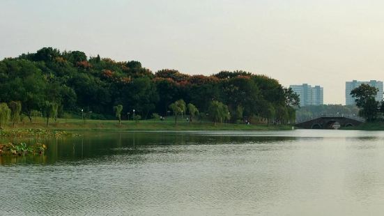 菱湖风景区位于安徽省安庆市迎江区菱湖南路中心，截至2013年