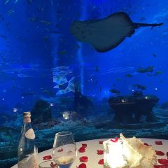 OSSIANO UNDERWATER RESTAURANT & BAR User Photo