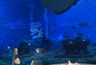 OSSIANO UNDERWATER RESTAURANT & BAR User Photo