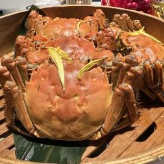 成隆行·颐丰花园(虹桥店) User Photo
