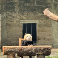 評論圖片 6