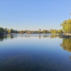 姚記炒肝店（鼓樓店）張用戶圖片